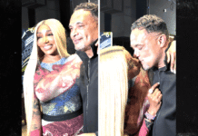NeNe Leakes Seen Kissing Memphis Attorney at Grizzlies Game