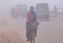 Dense Fog, Biting Cold Grip Delhi As Visibility Drops To 50 Metres; Yellow Alert Issued