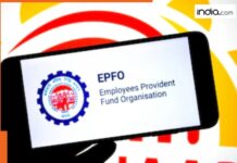 Changed your salary bank account? Here’s an easy step-by-step guide to update EPFO in just few seconds