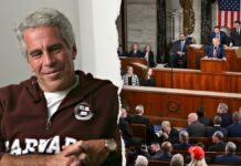 Ro Khanna’s State of the Union guest recruited over 20 underage girls for Epstein: ‘Like Heidi Fleiss’