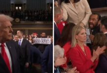 Rep. Al Green Holds ‘Black People Aren’t Apes’ Sign at State of the Union Address