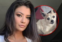 ‘Real World: Portland’ Star Averey Tressler’s Dog Dies