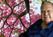 Bengaluru Turns Pink Each Summer Thanks to This IFS Officer