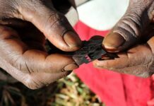 ‘It’s hidden’: Female genital mutilation and the secret shame of Minnesota’s Somalis