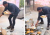 Viral Video of UPSC Aspirant Feeding Strays Melted Hearts