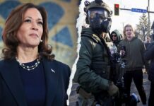 Harris praises Minneapolis resistance to immigration enforcement as ‘beautiful example’ for country