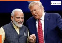 US, India unveil interim trade framework: What benefits will India get?