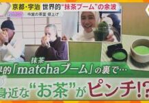 Global Matcha Boom Pushes Tea House Fees Up 50%