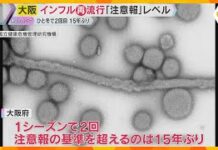 Flu Makes Alert Level Comeback in Kansai