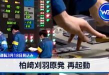 Kashiwazaki-Kariwa Nuclear Plant Restarted