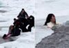 Dramatic video shows hero tourists save a mom and daughter from icy, fast-flowing river