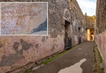Hidden graffiti in Pompeii reveals 2,000-year-old love notes: ‘An immense legacy’
