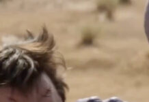 Chinese AI May Have Just Killed Off Hollywood