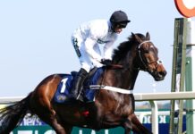 Today on Sky Sports Racing: Constitution Hill makes Flat debut at Southwell