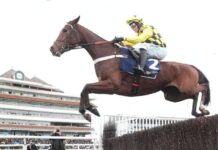 Tutti Quanti has Nicholls dreaming big after Newbury demolition job