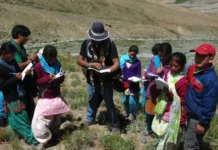 Viral Clips Show the Magic — But These Ladakh & Himachal Heroes Are Doing the Real Work to Protect Snow Leopards