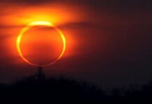 First solar eclipse of the year will grace Antarctica, giving penguins and researchers a ‘great show’