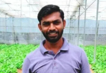 From IT Job to Farming: Telangana Expert Shares Simple Ways to Grow Healthy Spinach