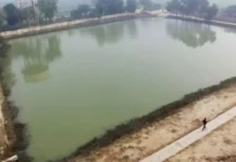 Before Summer Water Shortages Hit, Here Are 3 Community Solutions You Can Replicate