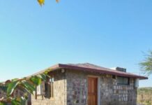 A Barren Land in Taboda Is Now a Vacation Spot, Thanks to These Wildlife Conservationists