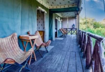 Meet the Father-Son Duo Behind the Initiative That’s Re-Wilding Barren Lands & Helping Locals Earn