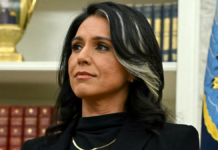 Gabbard ends task force that aimed to reform intelligence gathering after less than a year