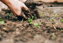 This Winter, Let Children Turn the Garden Into a Creative Playground