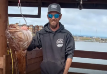 Todd Meadows’ Mom Says ‘Deadliest Catch’ Should NOT Air Video of Fatal Incident