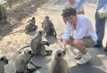 Soap star rushed to hospital after being bitten by monkey