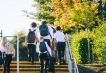 Hay fever pollen warning to anyone taking exams in secondary school