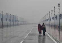 Delhi Wakes Up To Light Rain As IMD Forecasts More Showers Today; Temp To Rise After Rare March Chill