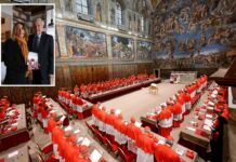 Cardinal found with phone during secret conclave to elect Pope Leo, book says
