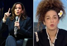 Iranian-American activist torches Kamala Harris: ‘Who are you?’