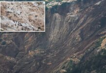 200 feared dead in Congo mine collapse — but rebels claim only 5 killed