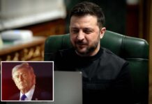 Ukraine ready to jump in to help US as other American allies drag feet, Zelensky tells Post