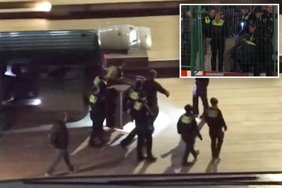 Wolf attacks woman in bustling German neighborhood