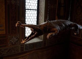 Perché c’è un coccodrillo appeso in una chiesa? Il mistero di Ponte Nossa che risale al Medioevo