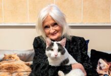 Famous model rescues starving kittens with pop star boyfriend before wild result