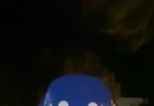 Woman who swallowed 3 liters of vodka pleads guilty to sticking googly eyes on $95K blob-like sculpture