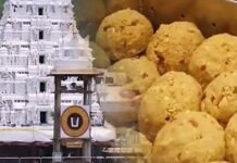 One-Man Panel Begins Probe into TTD Laddu Ghee Irregularities