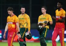 South Africa Beat Plucky Zimbabwe Ahead Of New Zealand Semi-final