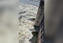 Babli Project Gates Lifted, Water Flows to Telangana