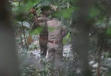 Man, Woman Found Dead In Forest Near Rapur–Chitvel Ghat Road