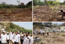 TTD Focuses On Increasing Greenery at Ramatheertham Hill