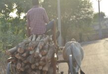 Hotels Stock Firewood Over LPG Supply Concerns