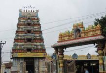 Temple Committee Chief Faces Misconduct Allegations