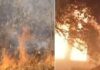 Two Fire Incidents in Odisha Damage Property, Disrupt Highway Traffic