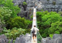 Tourism In Madagascar Help To Conserve Some Forests But Others Suffer