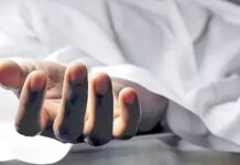 Attack By Monkeys Causes Old Woman’s Death