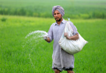 India Urea Plants at Half Capacity as West Asia Tensions Choke Gas Supplies